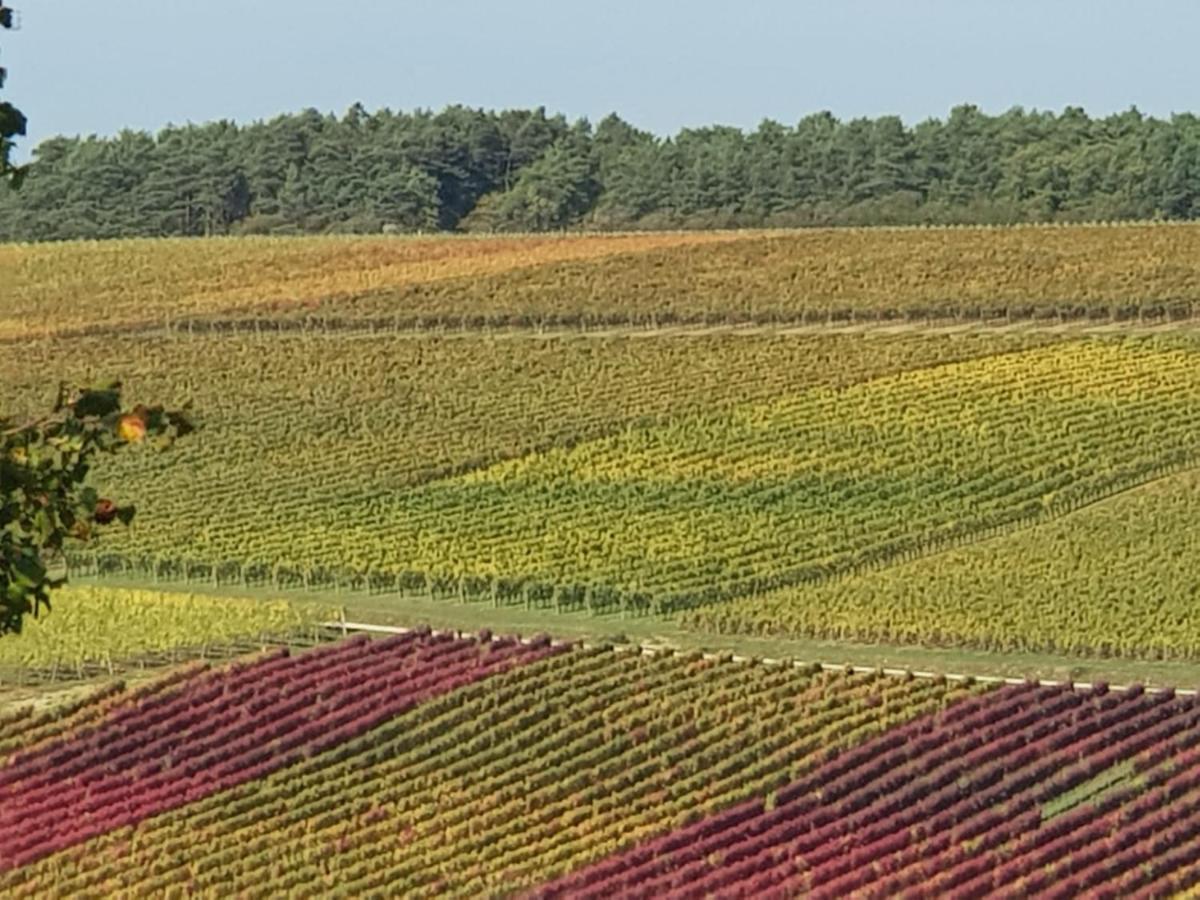 Le Bois De Laval Bed & Breakfast Marey-les-Fussey Bagian luar foto